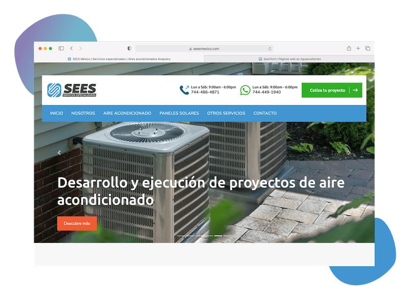 Proyecto 8. Páginas Web En Aguascalientes